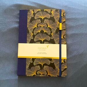 Papyrus express beautifully 6.7x 9.5” 224 ivory lined pages